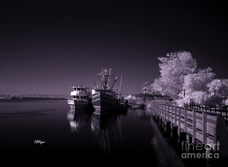Lazy Evening - A Black and White Infrared Seascape Photograph by DB Hayes