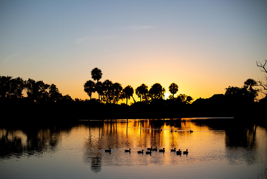 Lazy Florida Sunset Photograph