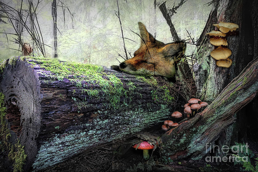 Lazy Fox II Digital Art by Deb Nakano