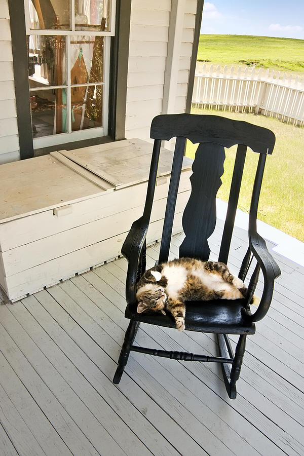 Lazy Summer Country Cat Sleeping on Back Porch Rocking Chair Photograph by Ricardoreitmeyer
