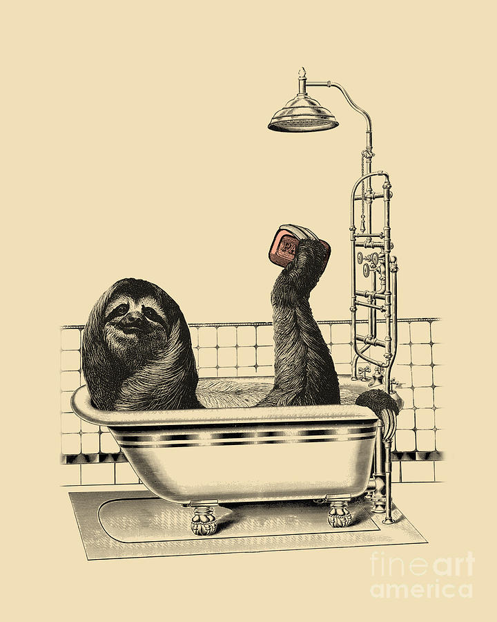 Wildlife Digital Art - Lazy Sunday Sloth by Madame Memento