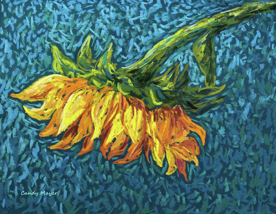 Lazy Sunflower Pastel by Candy Mayer