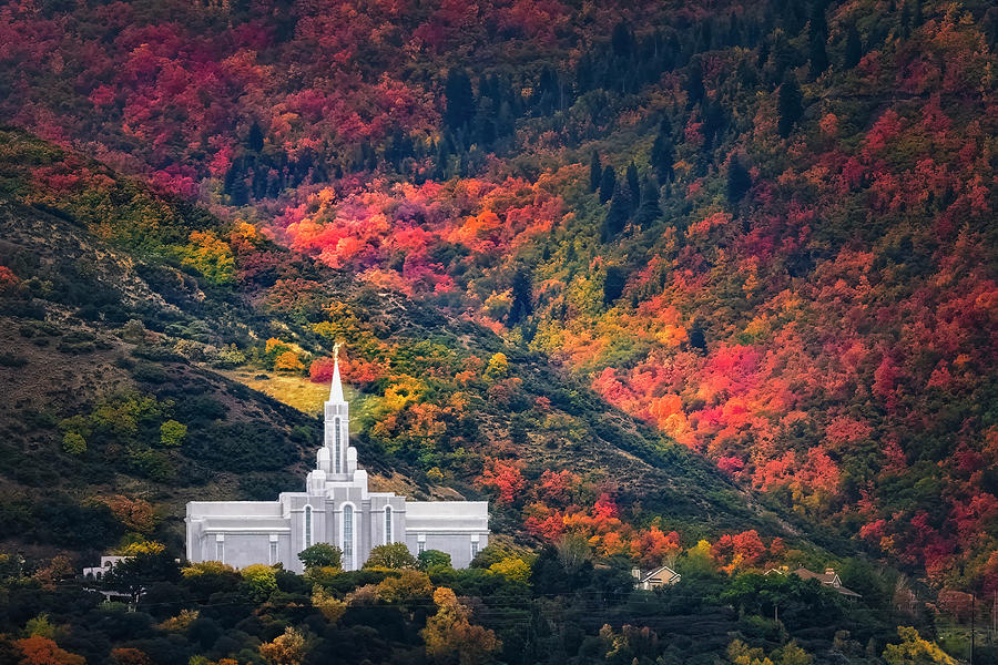 LDS Bountiful Temple in the Fall Photograph by Michael Ash