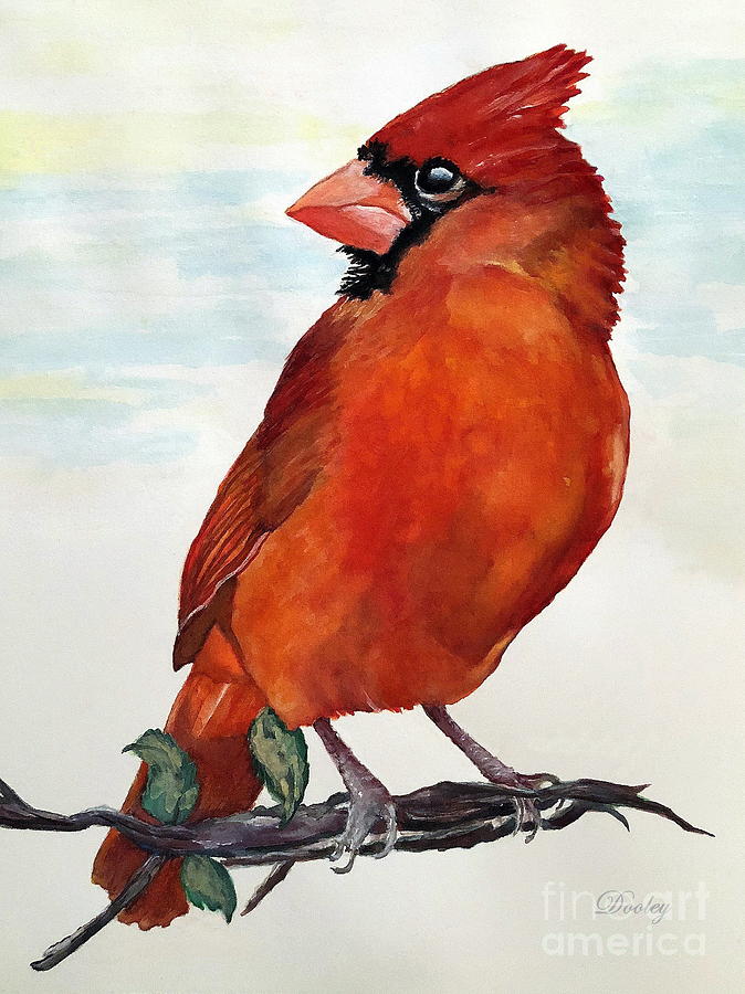 Le Cardinal Rouge Painting by Fine Art By Edie