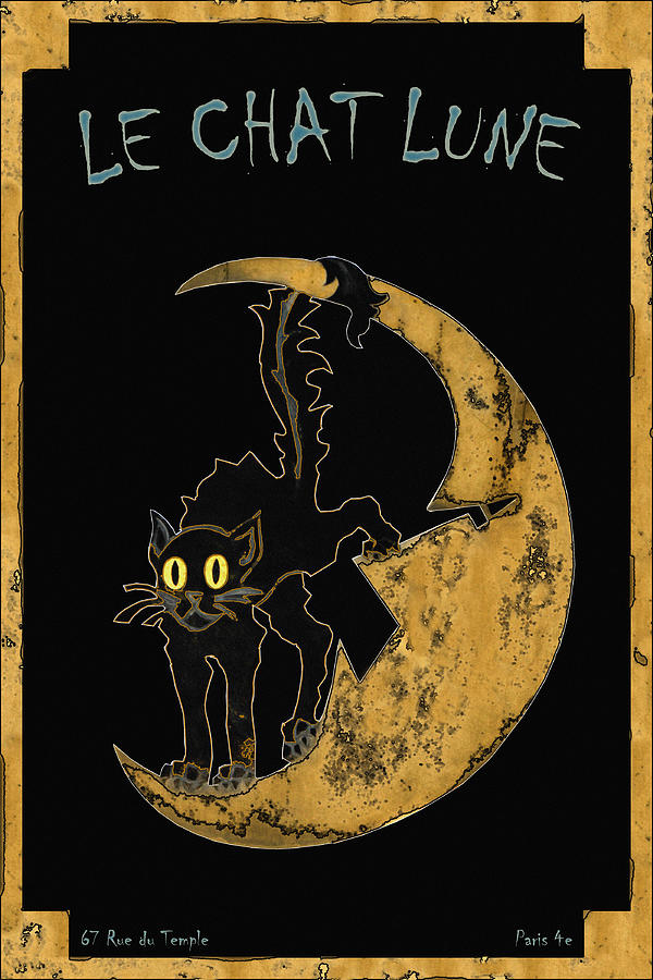 Le Chat Lune Photograph by Andrew Fare