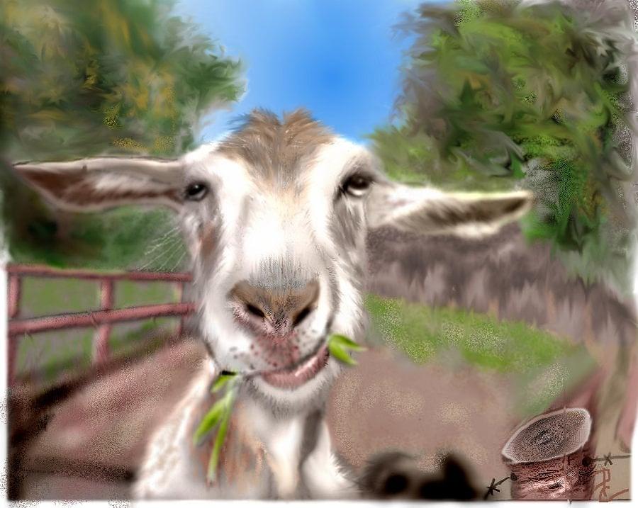 Le Goat Mixed Media by Pamela Calhoun