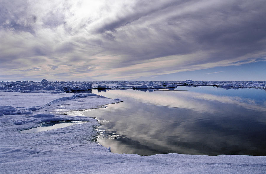 Lead (open water) at North Pole, Arctic Ocean, summer Photograph by Per Breiehagen
