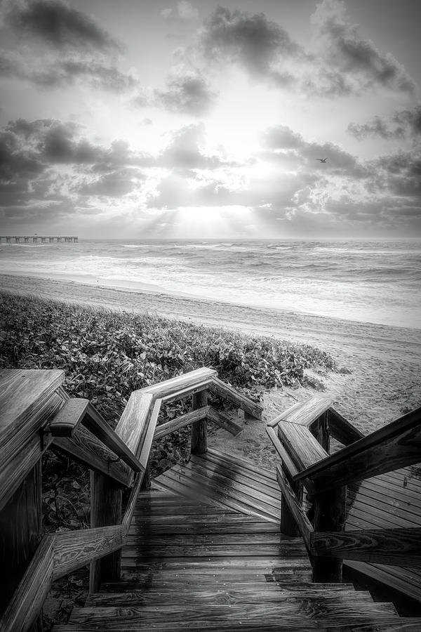Leading into Sunrise Light Black and White Photograph by Debra and Dave Vanderlaan