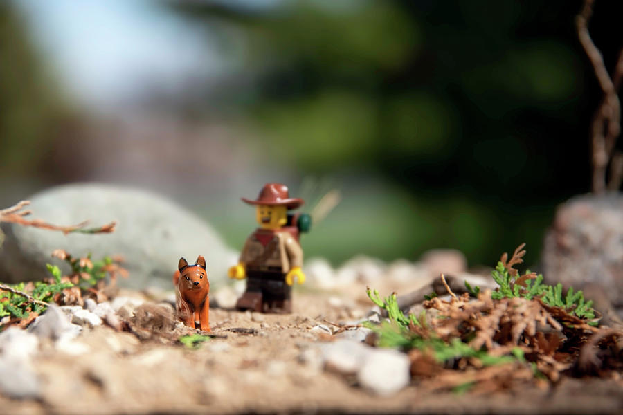 Toy Photograph - Leading The Way by Irwin Seidman