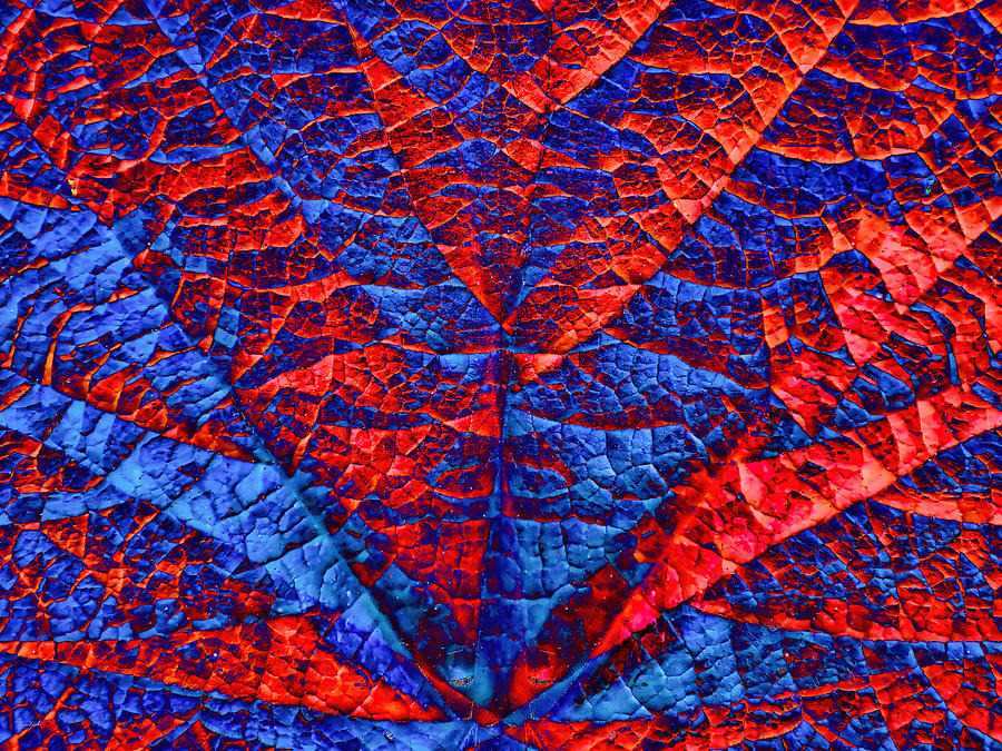 Leaf abstract Photograph by Bruce Block