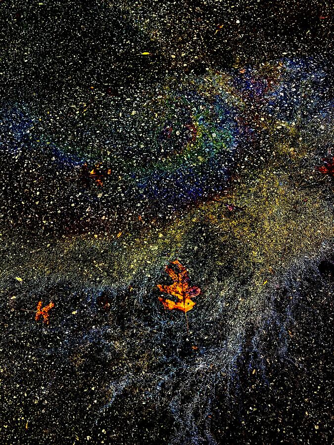 Leaf and Oil on Asphalt Photograph by Brandon Strellis Leaf and Oil on Asphalt Photograph by Brandon Strellis