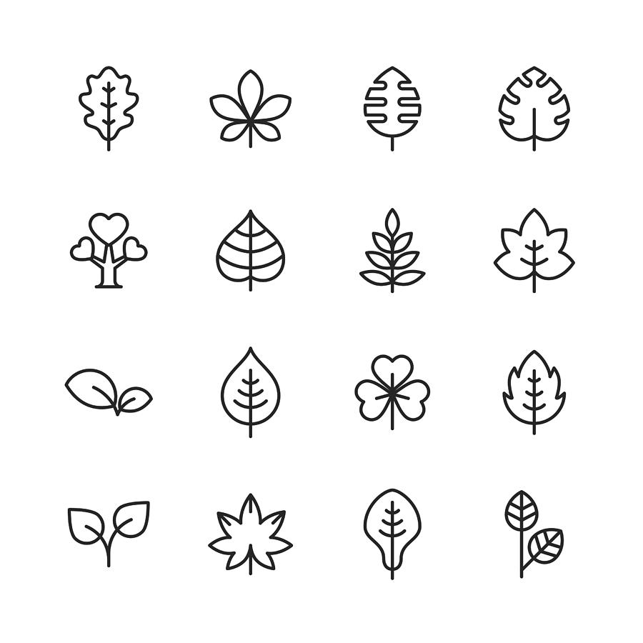 Leaf and Plant Line Icons. Editable Stroke. Pixel Perfect. For Mobile and Web. Contains such icons as Leaf, Plant, Nature, Environment, Ecology, Oak, Palm, Maple, Pine. Drawing by Rambo182