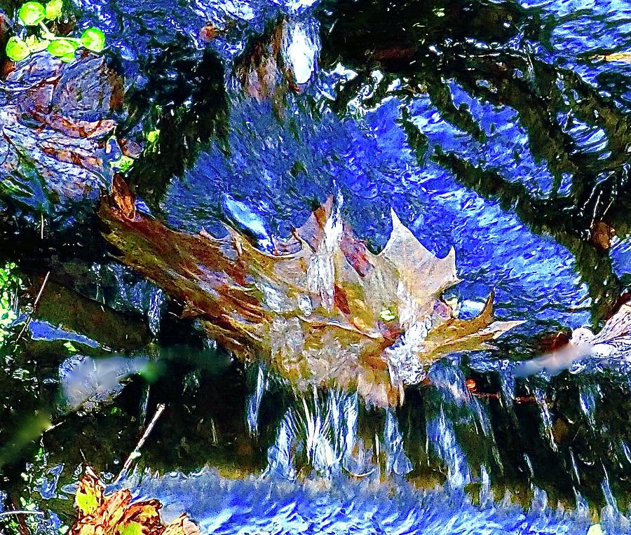 Leaf And Water Mixed Media by Alida M Haslett
