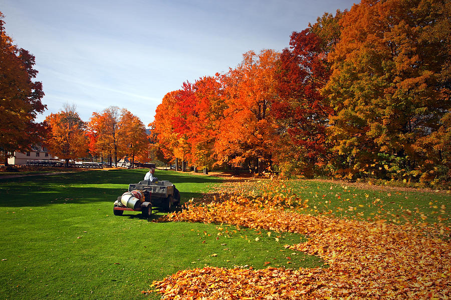 Leaf blower action on a golf course Photograph by Cappi Thompson