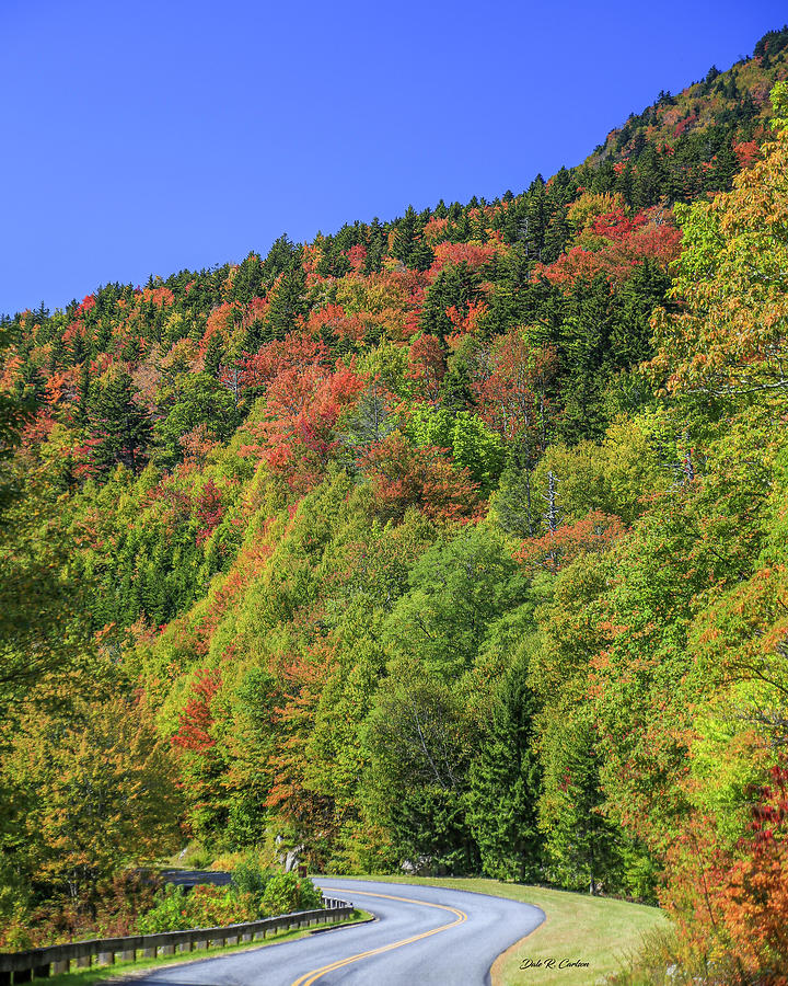 Leaf Color Cruising Photograph by Dale R Carlson