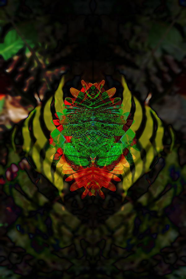 Leaf Frog Digital Art