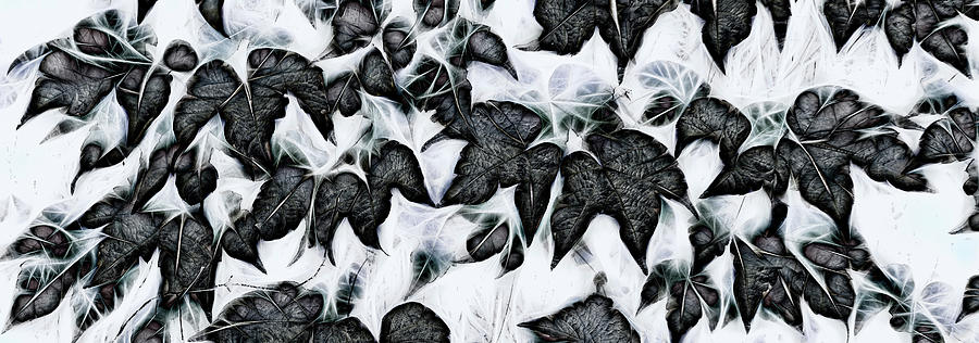 Abstract Photograph - Leaf Matrix by Wayne Sherriff