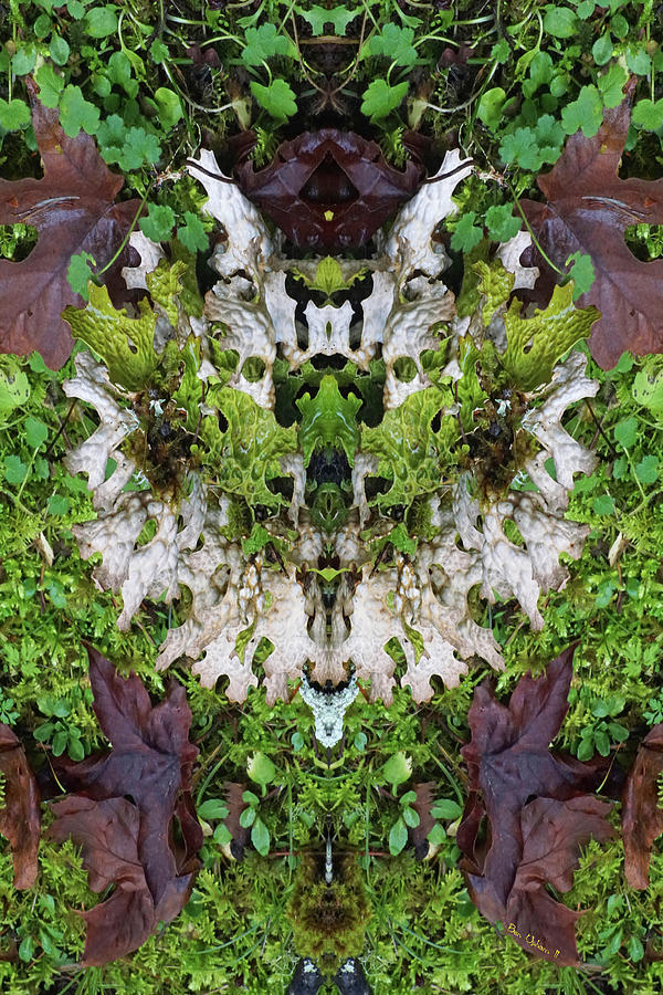Leaf Mirror #1 Photograph by Ben Upham III