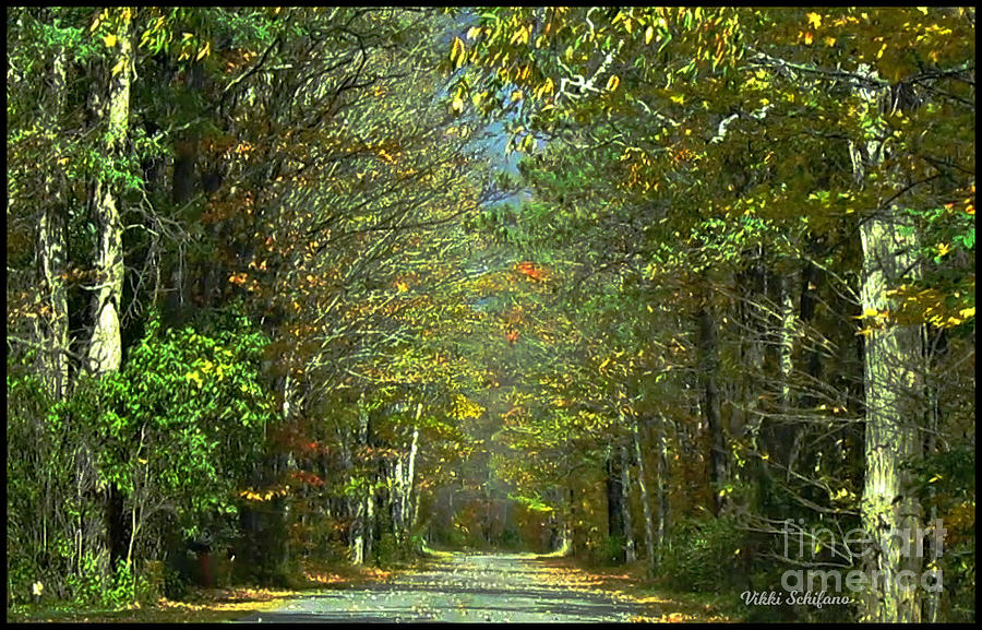 Leaf Peeping in Vermont Photograph by Vikki DePietro Pixels