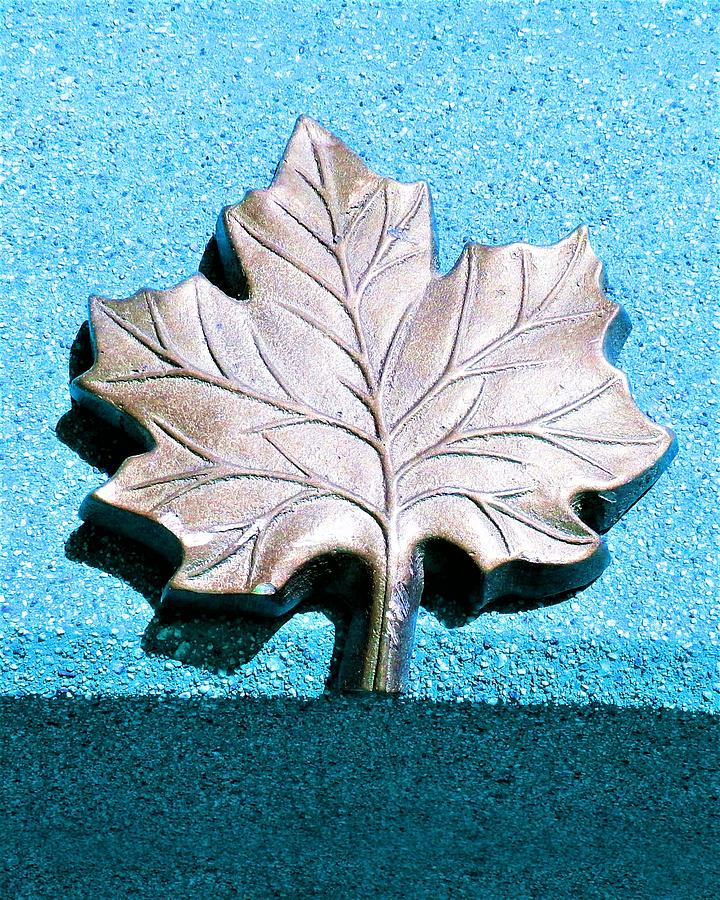 Leaf Sculpture Photograph by Andrew Lawrence