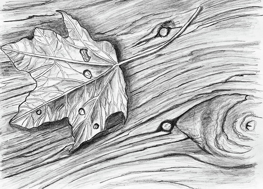 Leaf with Dew on my Deck 030824 Drawing by Mary Bedy
