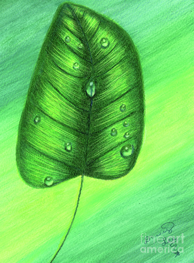 Leaf With Water Drops Mixed Media by Dorothy Lee