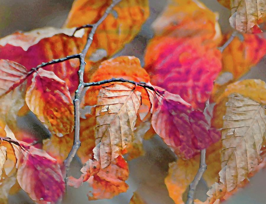 Leaflets of Autumn Photograph by Diana Angstadt - Fine Art America