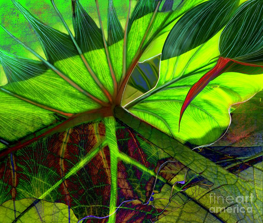 Leafy Layers Digital Art by Suki Michelle