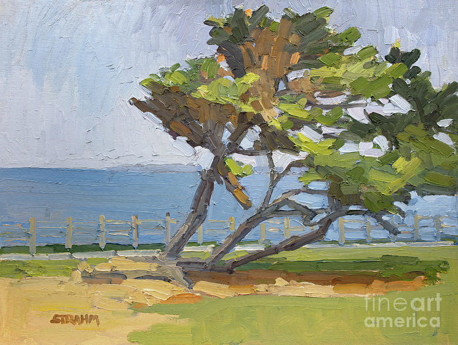 Leaning Cypress Tree - La Jolla, San Diego, California Painting by Paul Strahm