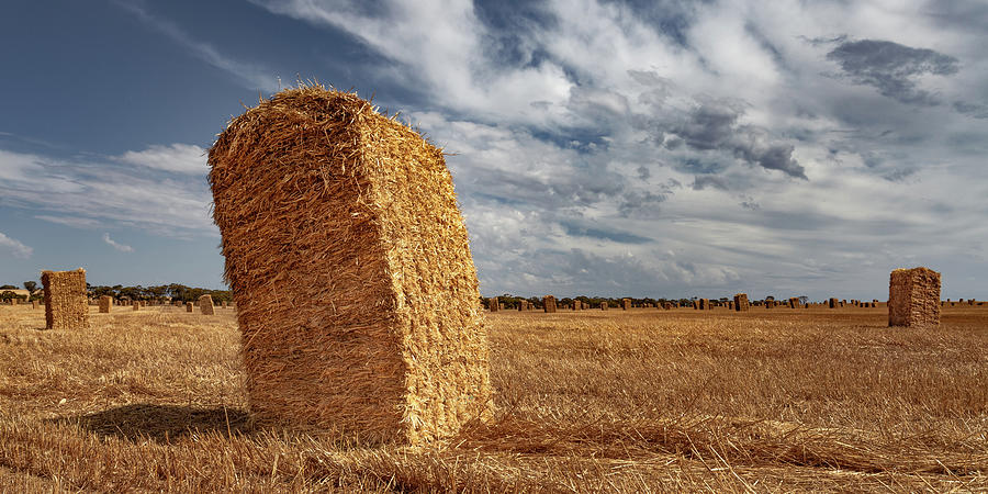 Leaning Hay Bale Photograph by David Wilkins