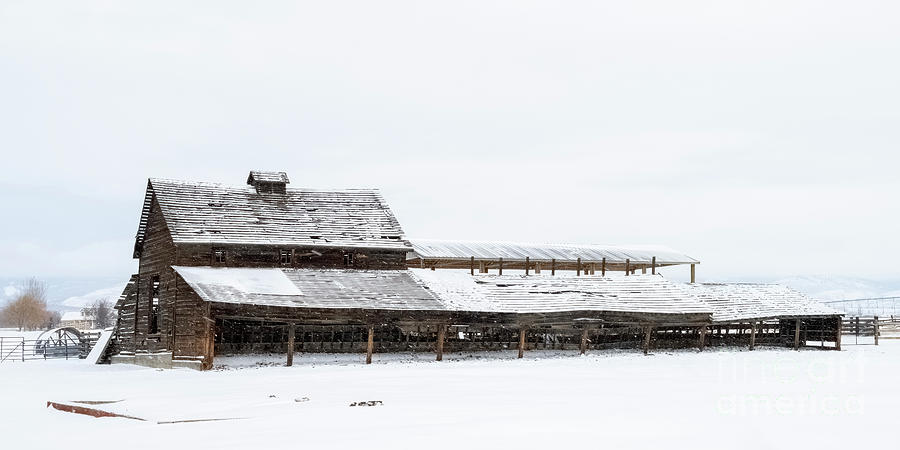 Leaning Winter Barn Photograph