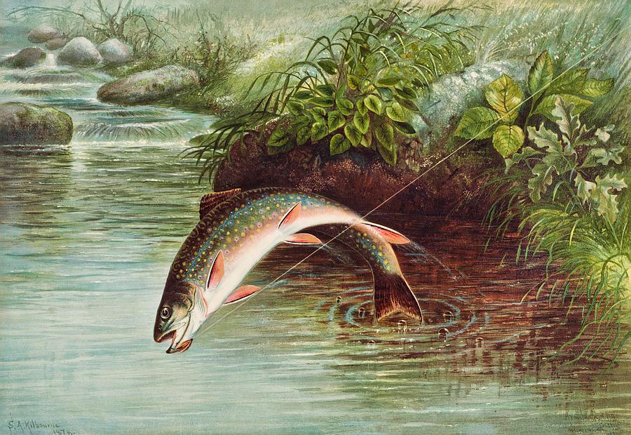Leaping Brook Trout Painting by Mountain Dreams