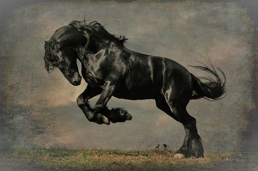 Leaping Stallion - stormy Digital Art by Steve Ladner
