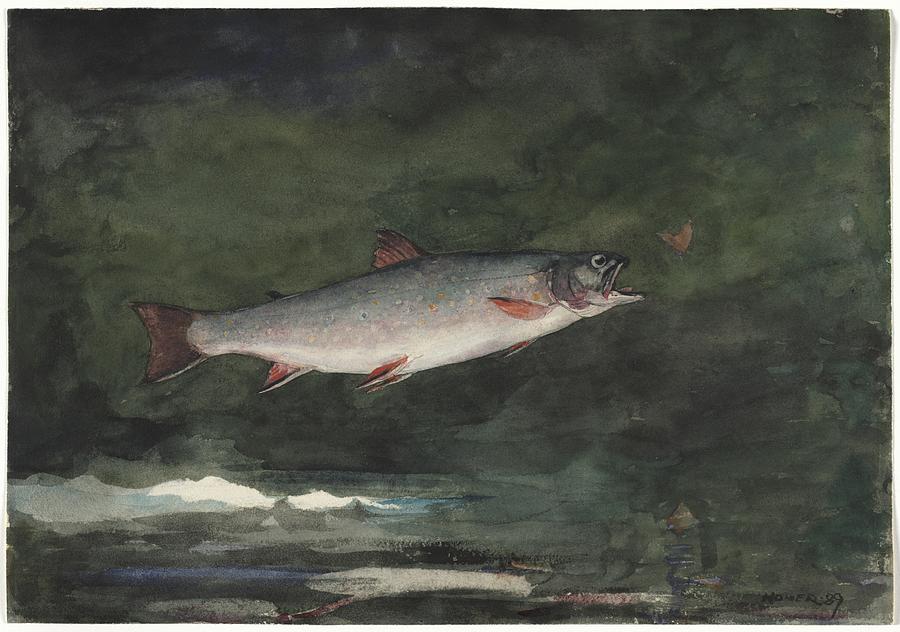 Leaping Trout 1889 Winslow Homer Painting by MotionAge Designs