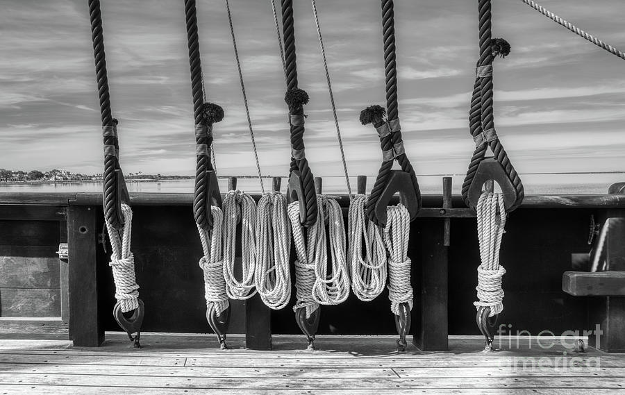 Learn The Ropes Black and White Photograph by Mel Steinhauer
