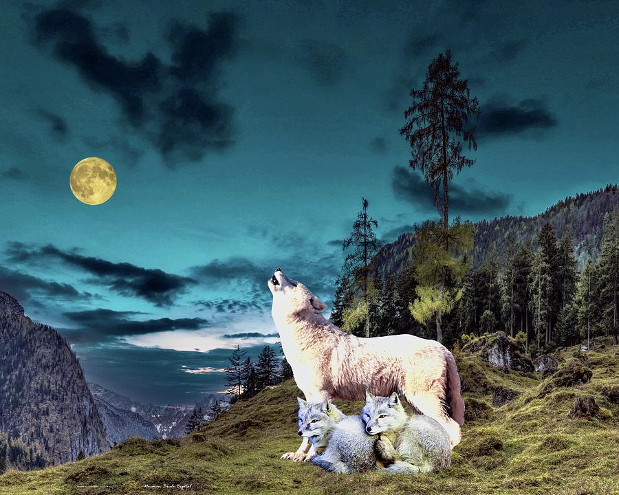 Learning the Ropes Digital Art by Norman Brule Learning the Ropes Digital Art by Norman Brule