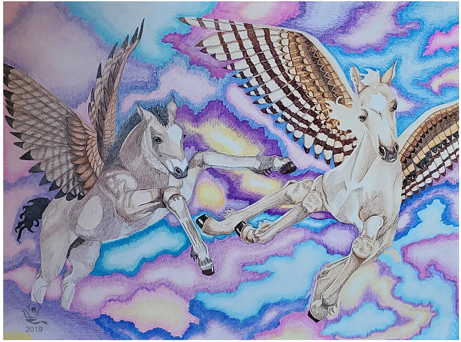 Learning to Fly Drawing by Equus Artisan