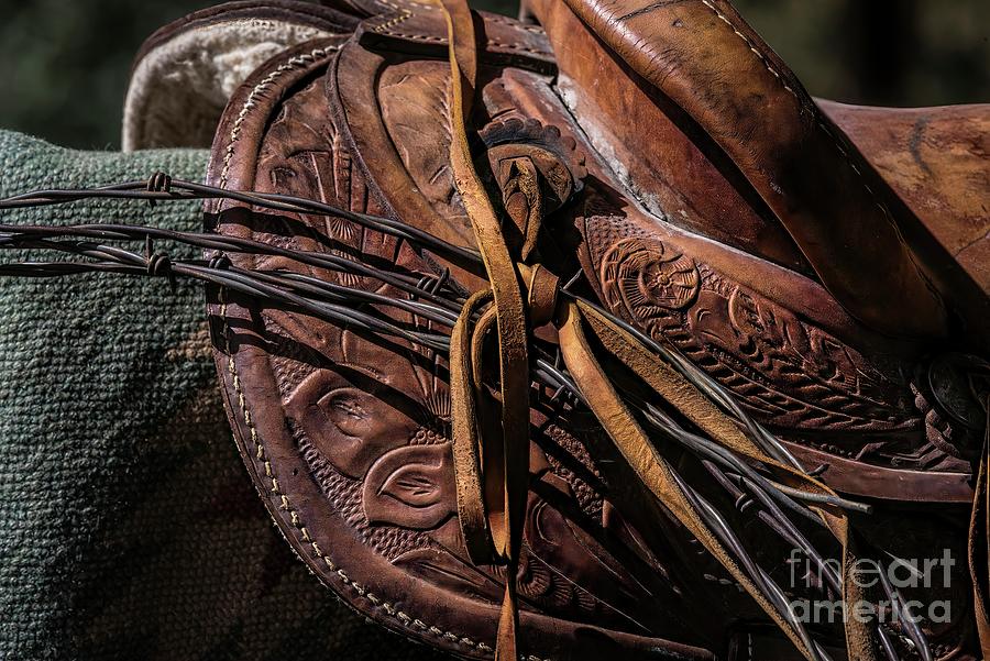 Leather And Wire Photograph by Jon Burch Photography