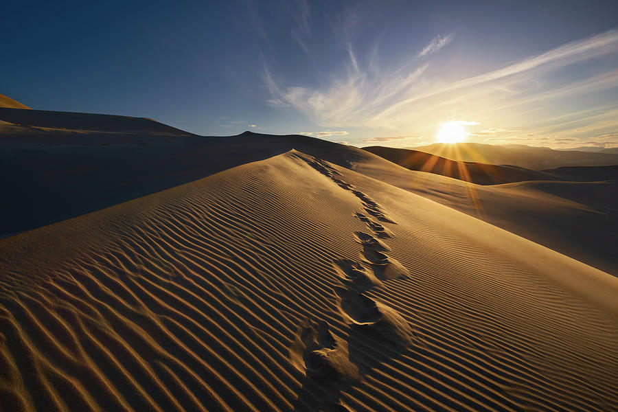 Leave Only Footprints Photograph by Brian Knott Photography - Fine Art ...