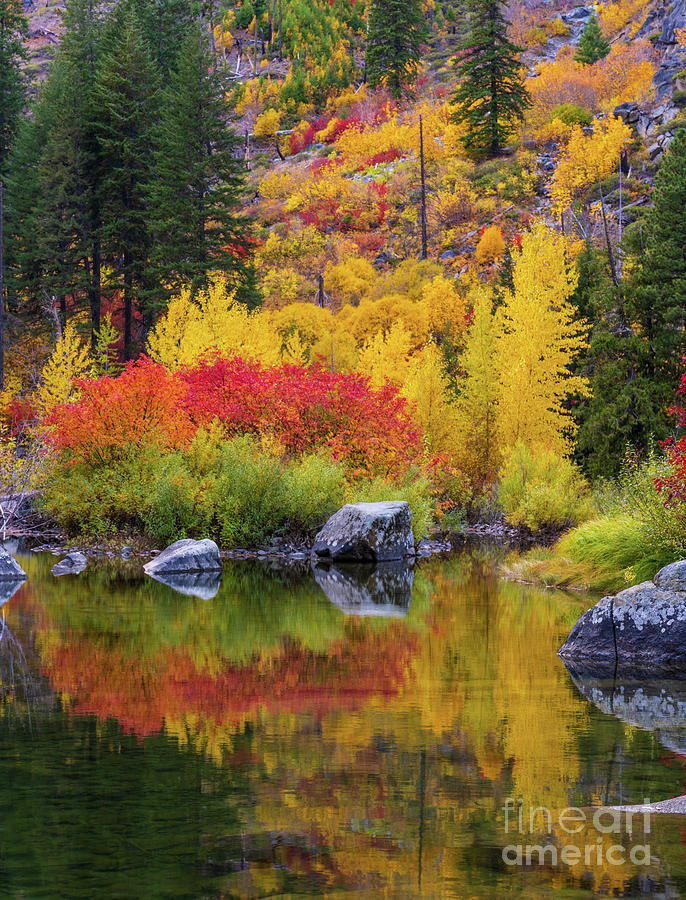 Leavenworth Fall Colors Reflection Photograph
