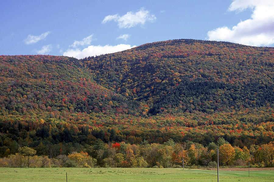 Leaves changing color, Mt Equinox, Manchester, VT Photograph by Barry Winiker