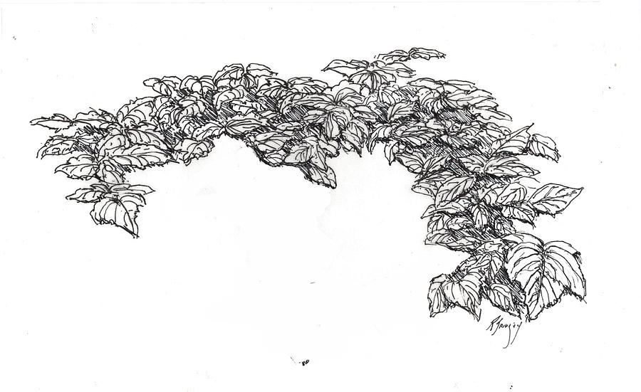 Leaves Edit 54 Drawing by Roger Swezey
