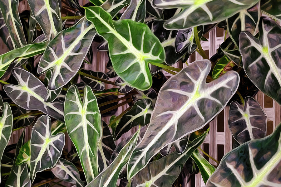 Leaves Explored Digital Art by John Kirkland
