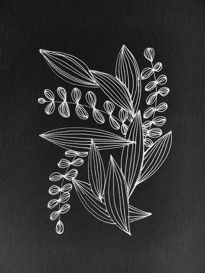 Leaves Line Drawing Abstract - Black Drawing by Marianna Mills