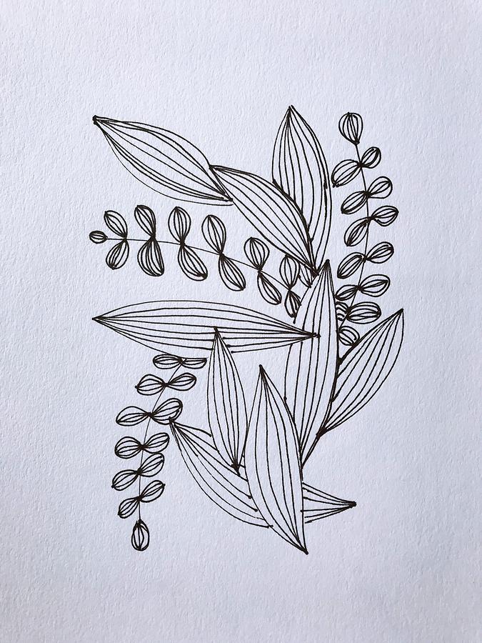 Leaves Line Drawing Abstract  Drawing by Marianna Mills