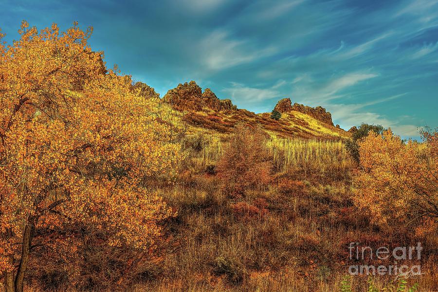 Colorado Rockies Photograph - Leaves Of Fall by Jon Burch Photography