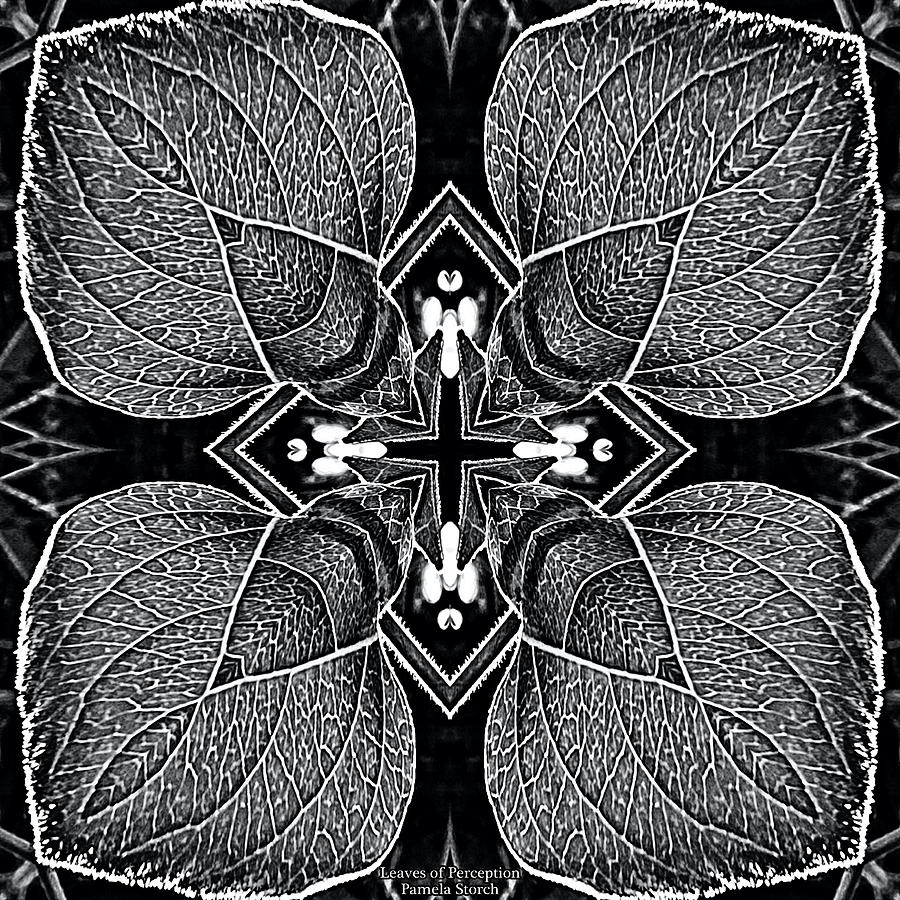Black And White Digital Art - Leaves of Perception by Pamela Storch