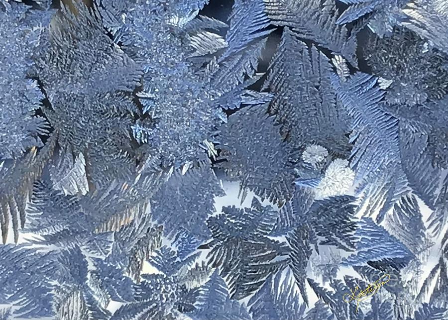 Leaves of Snowflake Crystals Digital Art by Lynne Paterson