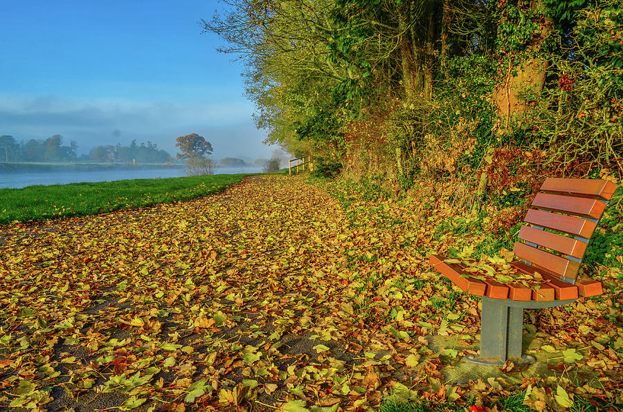 Leaves on the Suir Photograph by Joe Ormonde