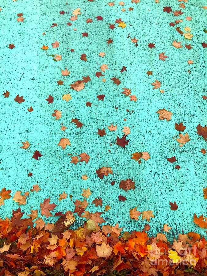 Leaves on Turquoise Photograph by Suzanne Lorenz